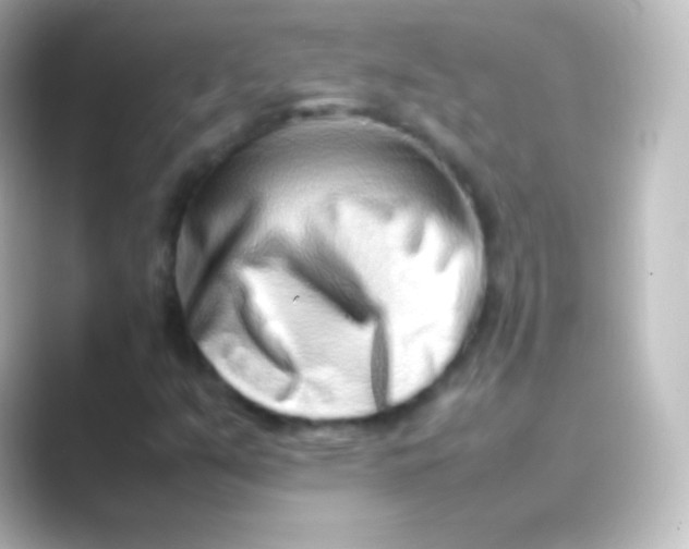 X0000088701351200706211937