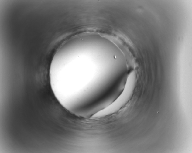 X0000088701352200706211937