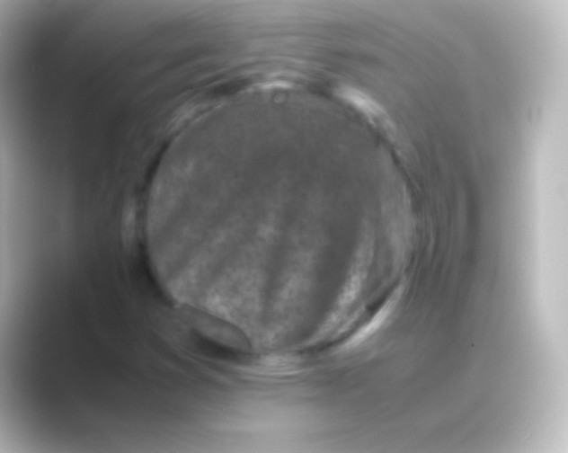 X0000088701353200706211937