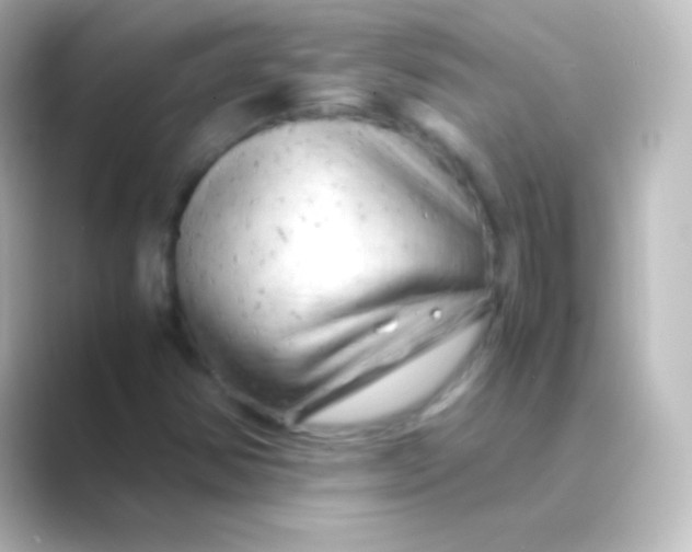 X0000088701354200706211937