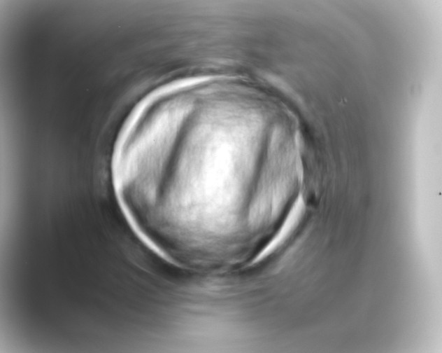 X0000088701355200706211937