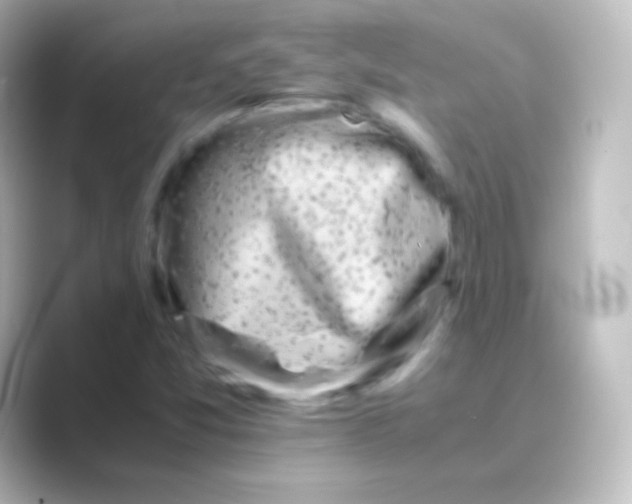 X0000088701357200706211937