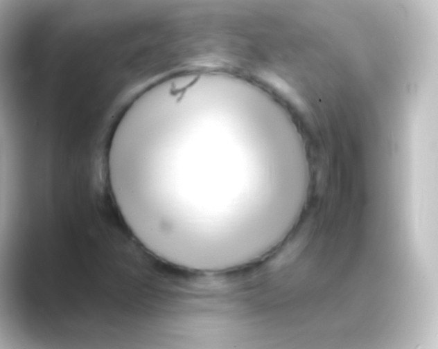X0000088701358200706211937