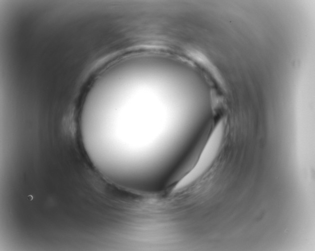 X0000088701360200706211937