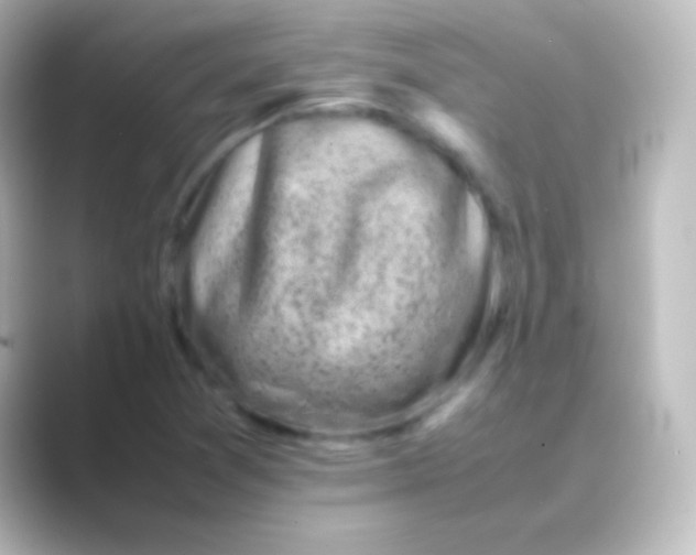 X0000088701361200706211937