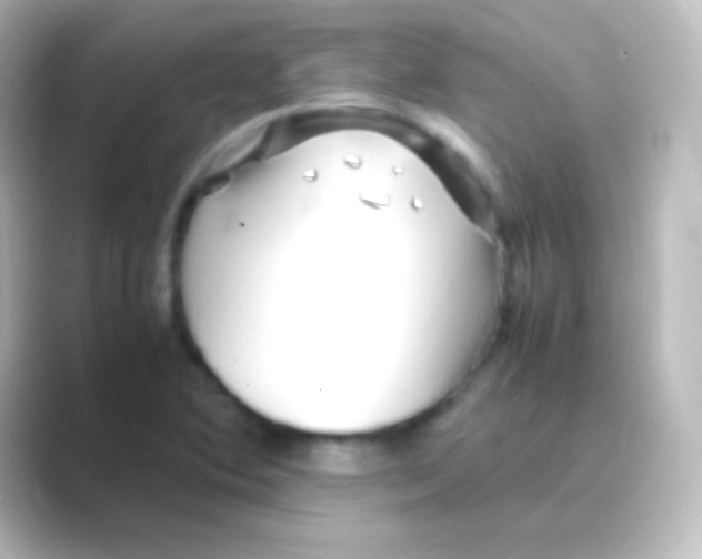 X0000088701364200706211937