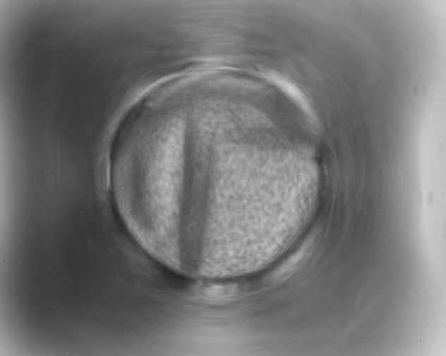 X0000088701365200706211937