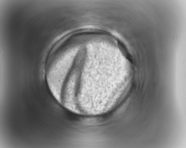 X0000088701367200706211937
