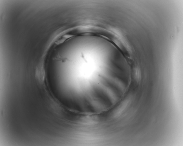 X0000088701368200706211937