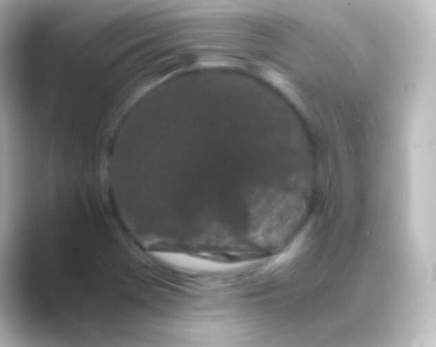 X0000088701369200706211937