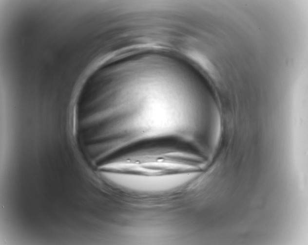 X0000088701371200706211937