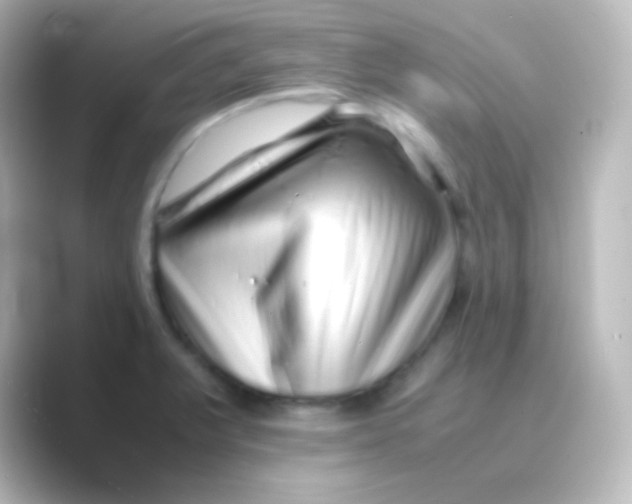 X0000088701375200706211937