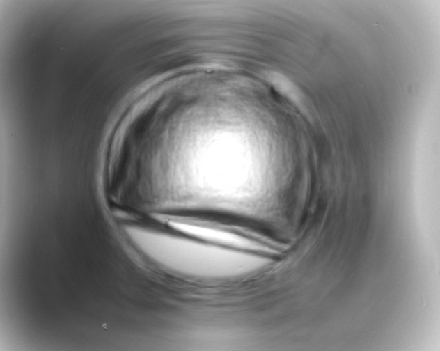 X0000088701379200706211937