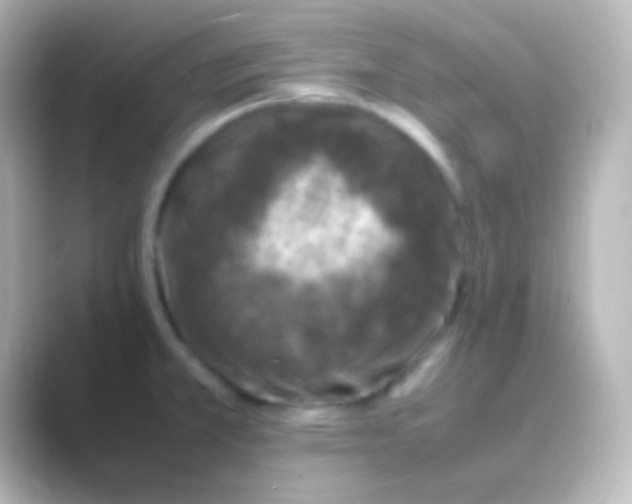 X0000088701381200706211937