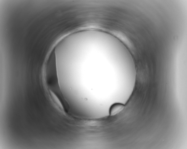 X0000088701382200706211937