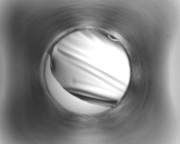 X0000088701384200706211937