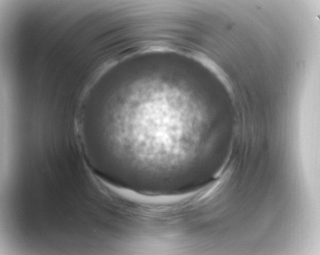 X0000088701385200706211937