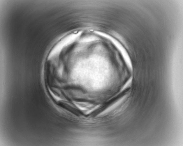 X0000088701387200706211937