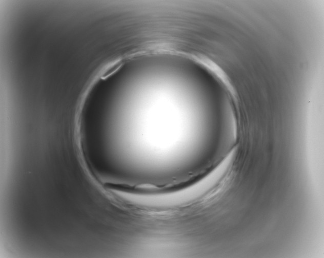 X0000088701389200706211937