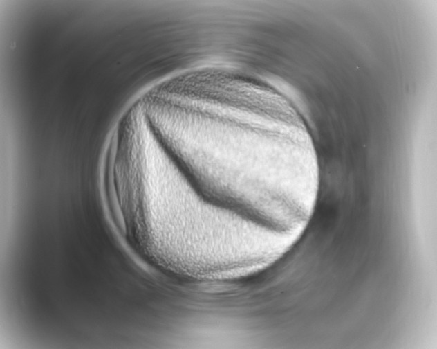 X0000088701391200706211937