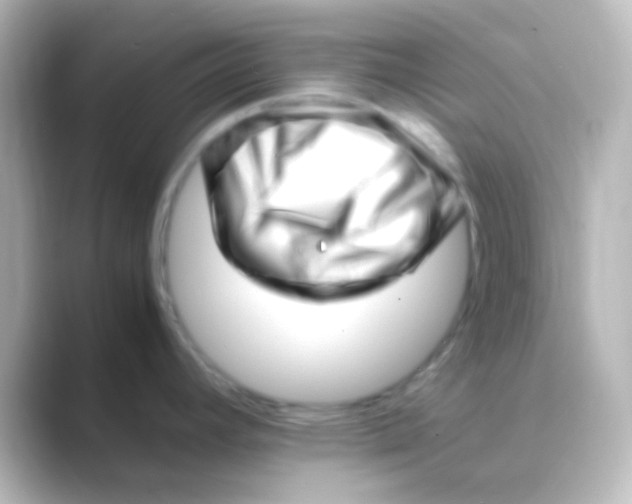 X0000088701392200706211937