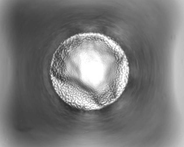 X0000088701393200706211936