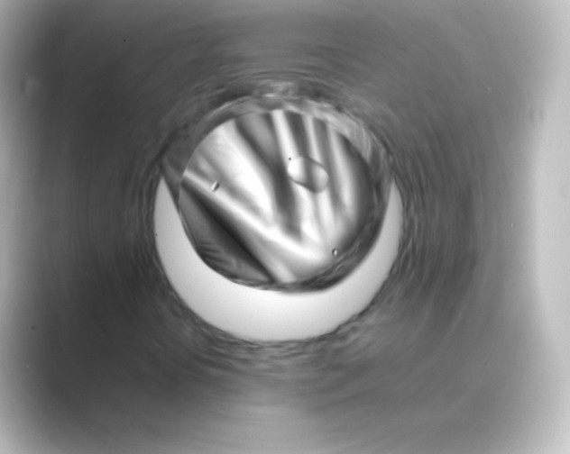 X0000088701394200706211936