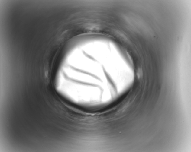 X0000088701396200706211936