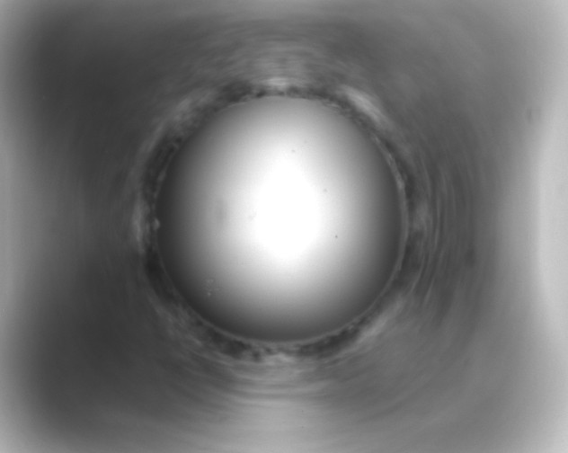 X0000088701398200706211936