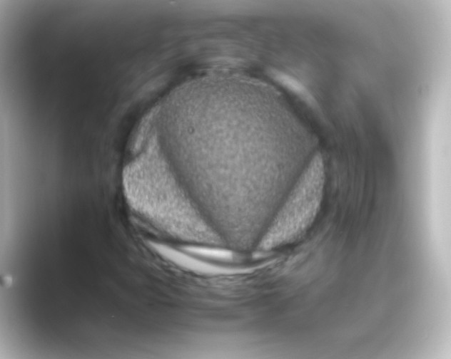 X0000088701399200706211936