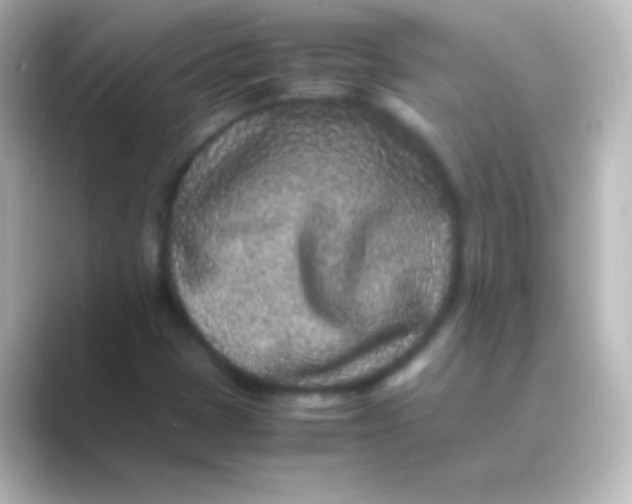 X0000088701401200706211936