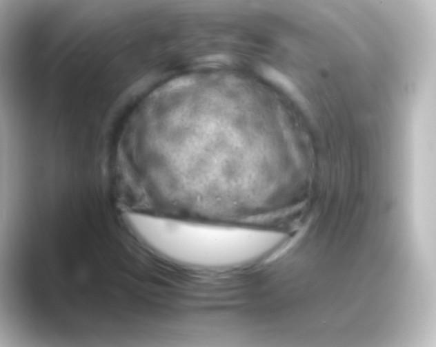 X0000088701403200706211936