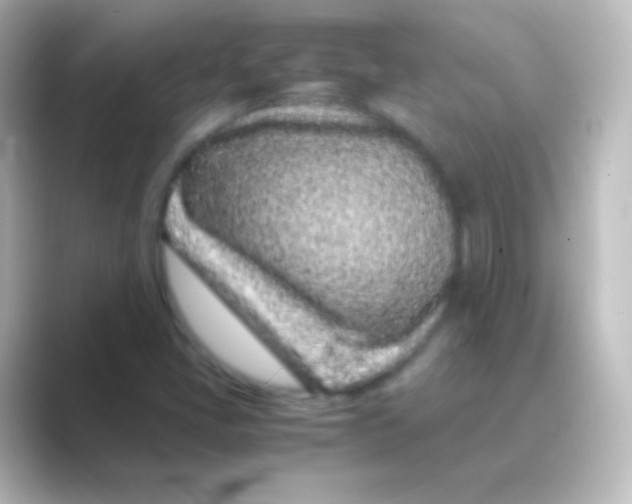 X0000088701405200706211936