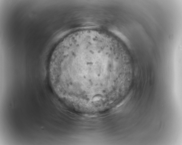 X0000088701407200706211936