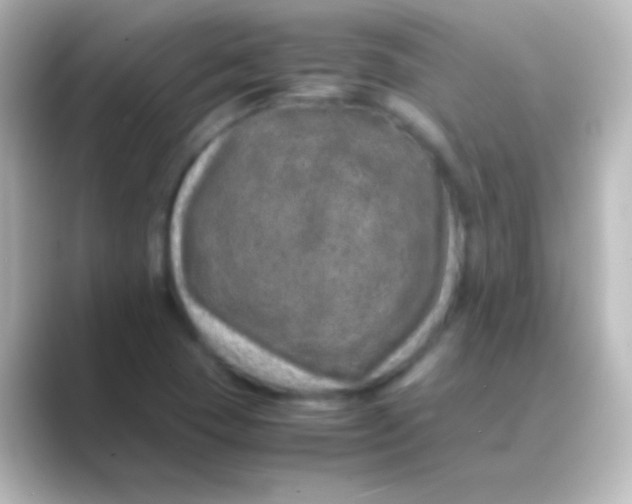 X0000088701409200706211936