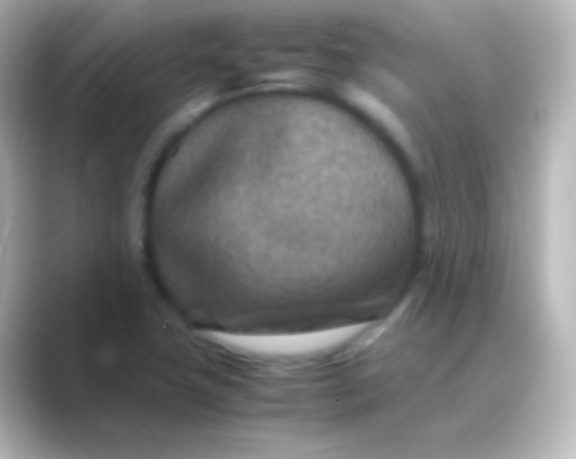 X0000088701411200706211936