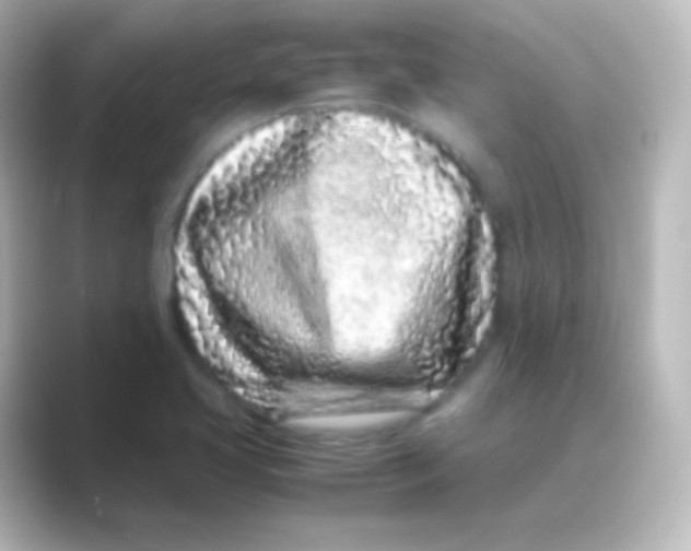X0000088701413200706211936