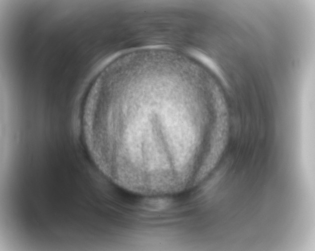 X0000088701415200706211936