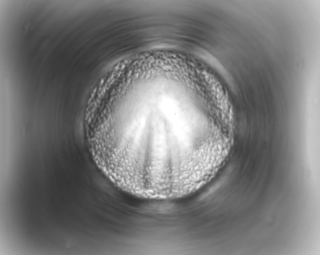 X0000088701417200706211936