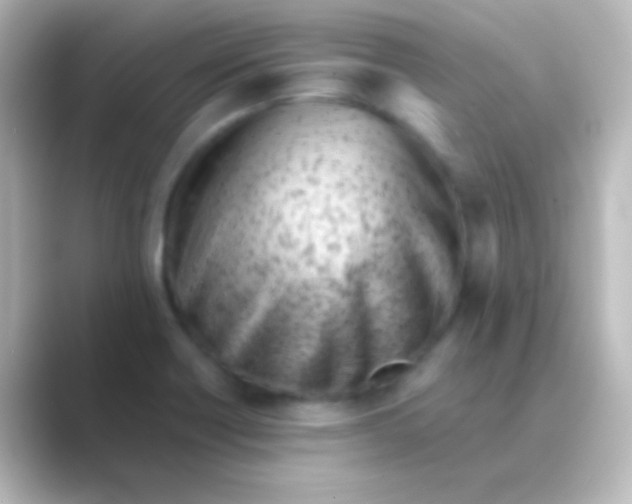 X0000088701418200706211936