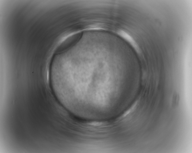 X0000088701419200706211936