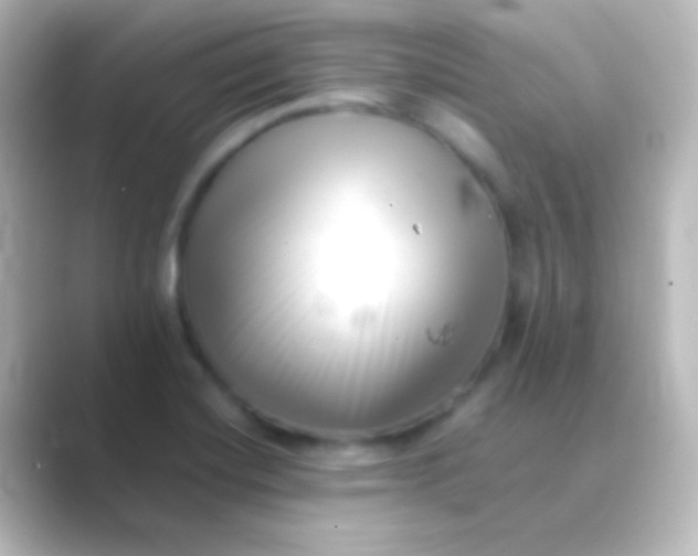 X0000088701420200706211936