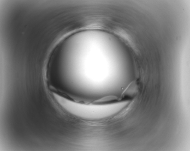 X0000088701422200706211936