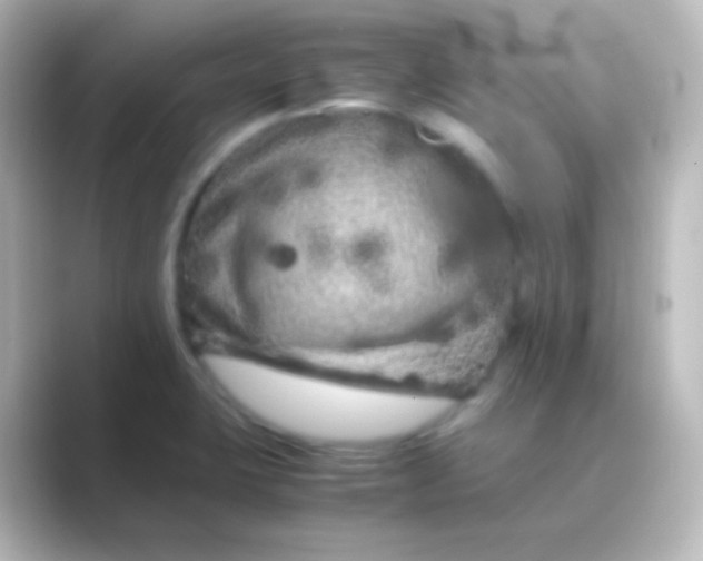 X0000088701423200706211936