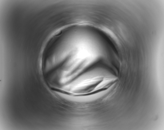 X0000088701424200706211936