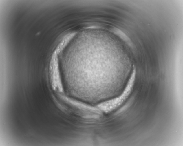 X0000088701425200706211936