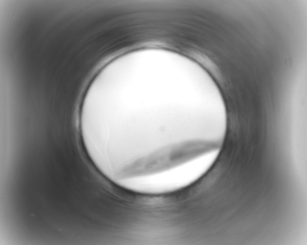 X0000088701428200706211936