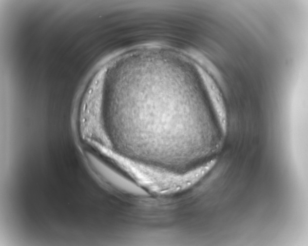 X0000088701429200706211936