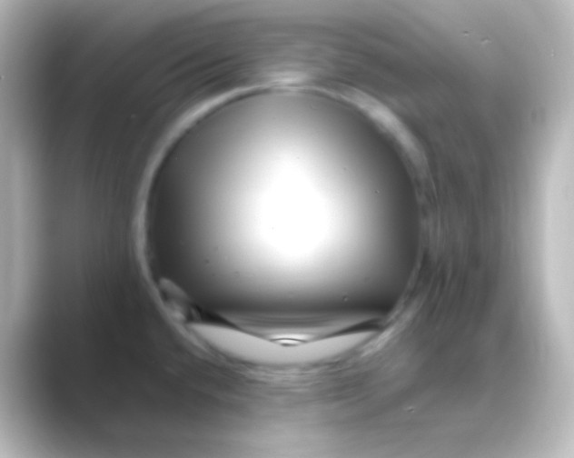 X0000088701432200706211936