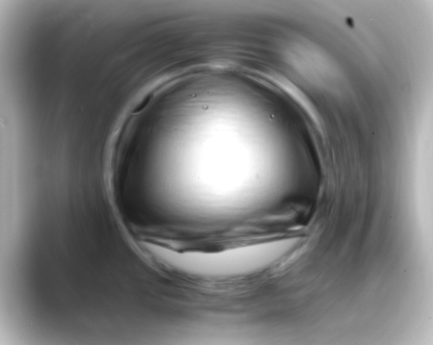 X0000088701437200706211937